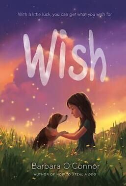 Wish by Barbara O'Connor (2017, Trade Paperback)